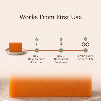 Deodorising Persimmon Soap